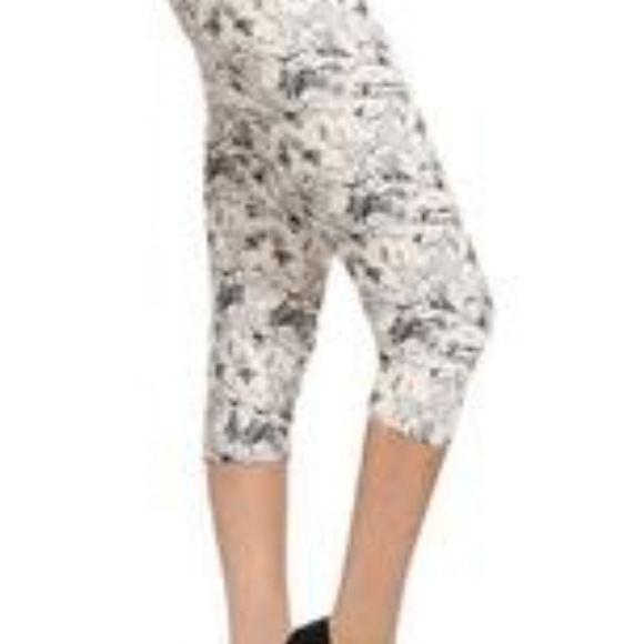 Chat Capri - Picture 2 of 3